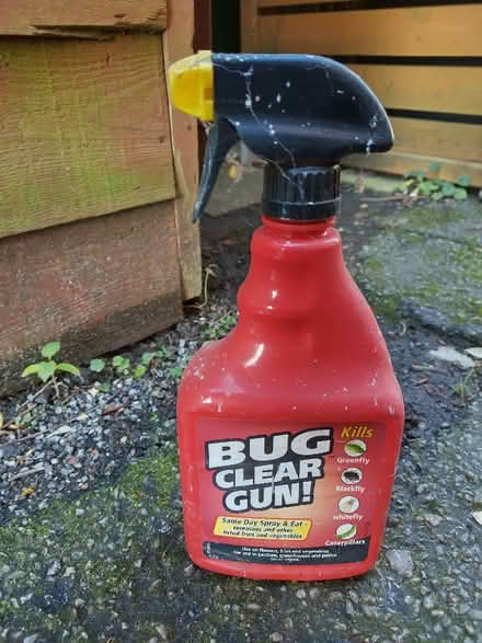 Photo of free Half Full Bug Killer (Roseacre ME15) #1