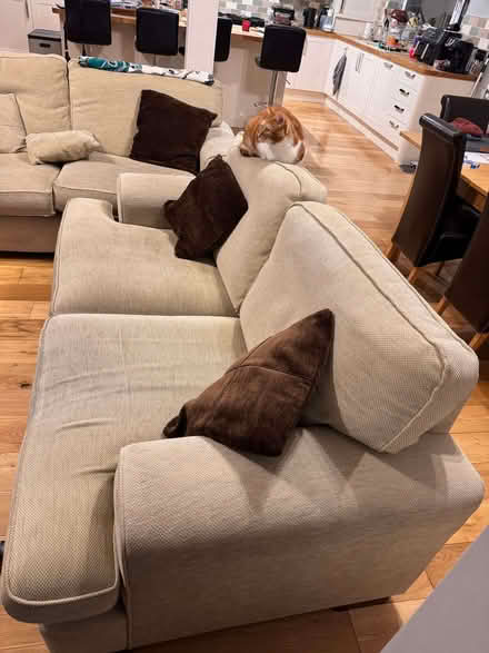 Photo of free Sofa (High Heaton) #2