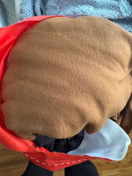 Photo of free Brown Felt Fabric (Bloor and Dufferin) #1