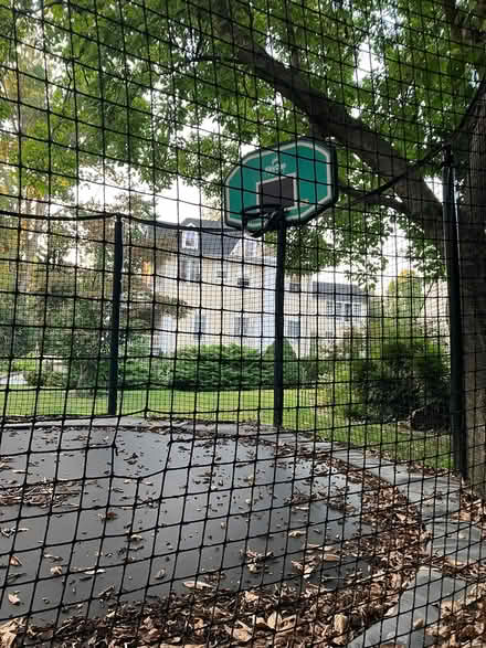 Photo of free Trampoline 14 ft AlleyOOP sports (Swarthmore) #2