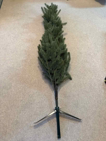 Photo of free Christmas Tree 6ft tall (Tovil ME15) #1