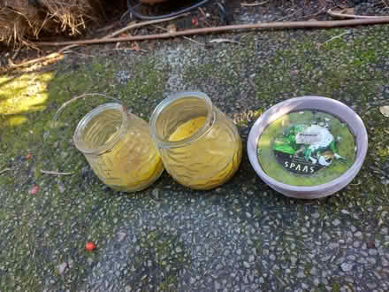 Photo of free Decorative Citronella Candles (Roseacre ME15) #1