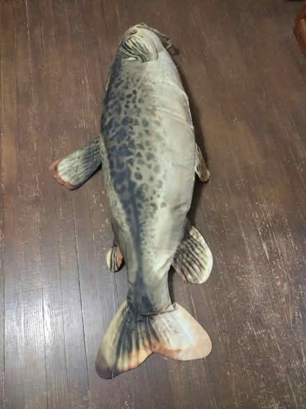 Photo of free Fish pillow decoration (18014) #2