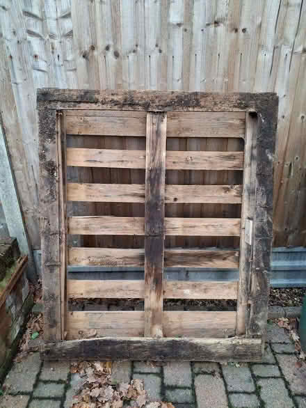 Photo of free Pallet (Knotty Green HP9) #1