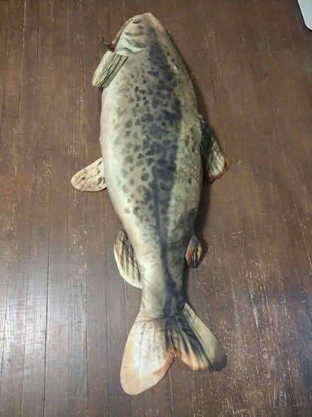 Photo of free Fish pillow decoration (18014) #1