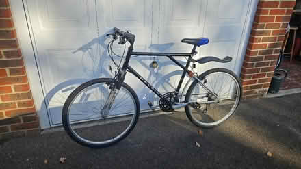 Photo of free Mans Raliegh mountain bike (Southwater) #1