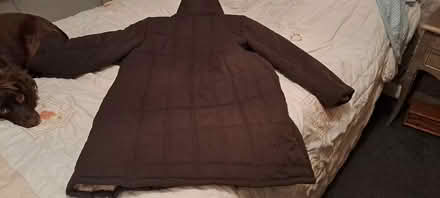 Photo of free Coat (St.leonards on Sea Tn377ea) #3