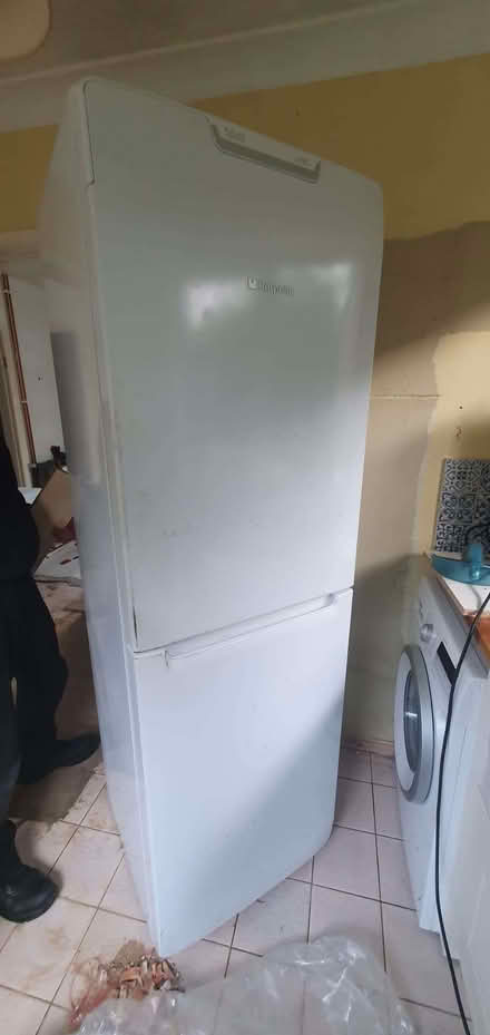 Photo of free Freestanding fridge-freezer (Leziate PE32) #2