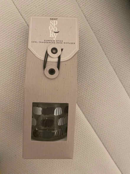 Photo of free Pumpkin Spice Reed Diffuser (SE1 6Hd) #1