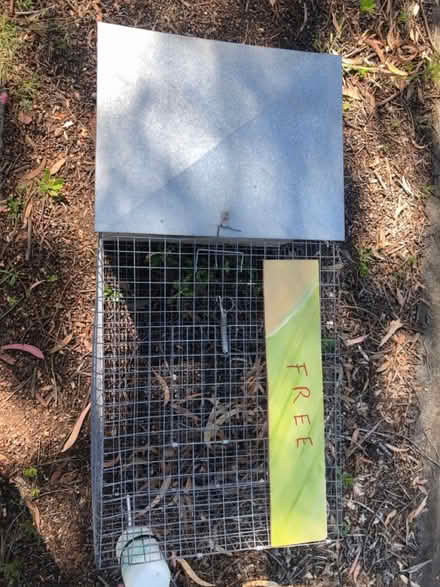 Photo of free Rabbit hutch (greensborough) #1
