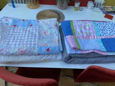 Photo of free Bedspreads and pillow (St Albans AL3) #2