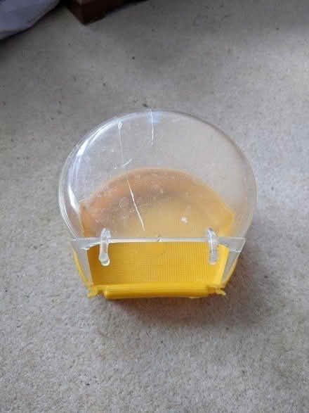 Photo of free Pet bird bath - cracked (Hastings TN34) #1