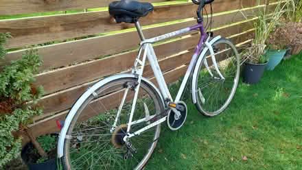 Photo of free Raleigh Pioneer Classic bike (Roche PL26) #2