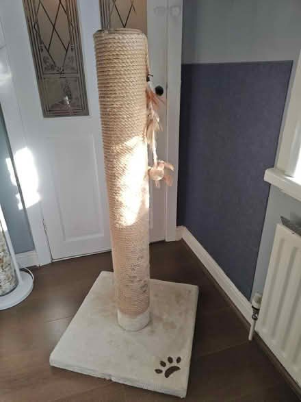 Photo of free Tall cat post (Sheffield) #1