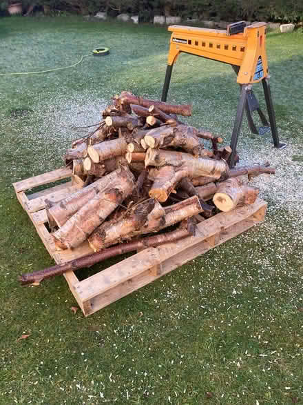 Photo of free Firewood (Bishopbriggs) #1