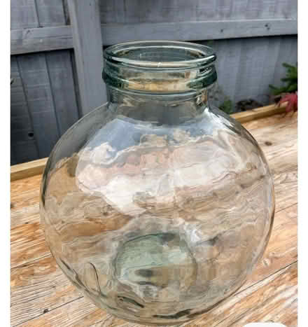 Photo of terrarium (Birmingham B26) #1