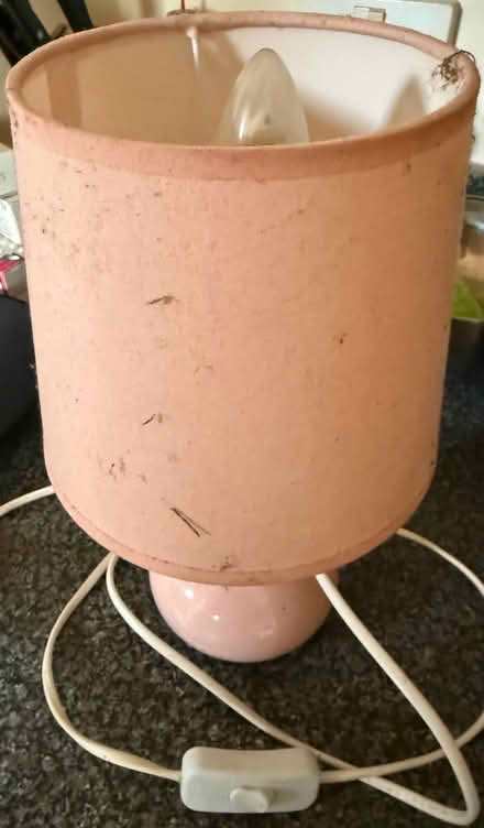 Photo of free Table lamps (Alvaston DE24) #1