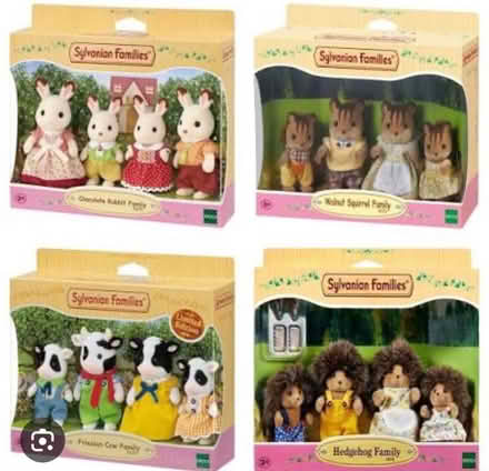 Photo of Sylvanian family figures (Crewe CW2) #1