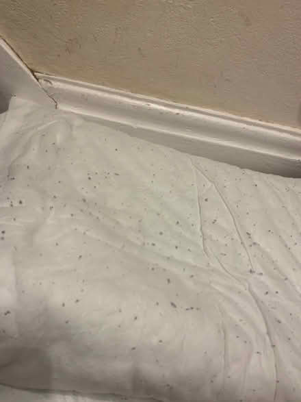 Photo of free Single duvet (Lifford, kings Norton B30) #1