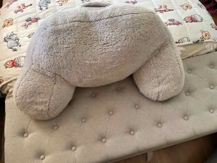 Photo of free Teddy fleece small and large bolsters (Stanstead Abbotts SG12) #2