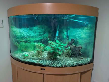 Photo of free Corner fish tank and stand (Deer Park OX28) #3
