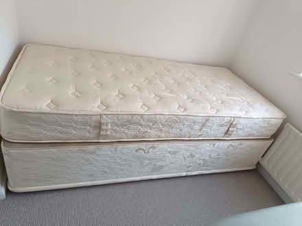 Photo of free Single divan (CT13) #1