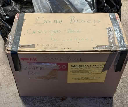 Photo of free Large Christmas Tree (St Anne's on the Sea FY8) #2