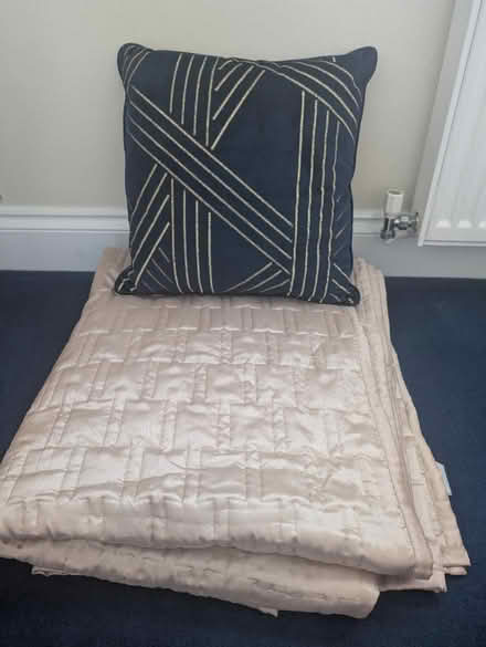 Photo of free Sofa/Single Bed Throw + Cushion (Orpington BR5) #1