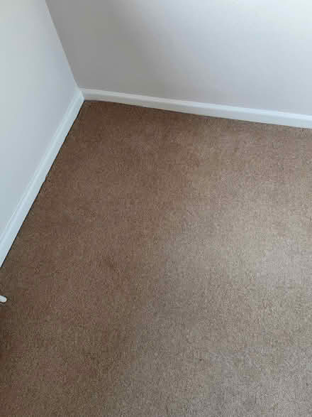 Photo of free Carpets (Lawford CO11) #1
