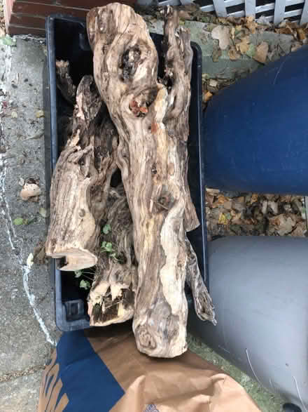 Photo of free Fire wood (Leslieville) #1