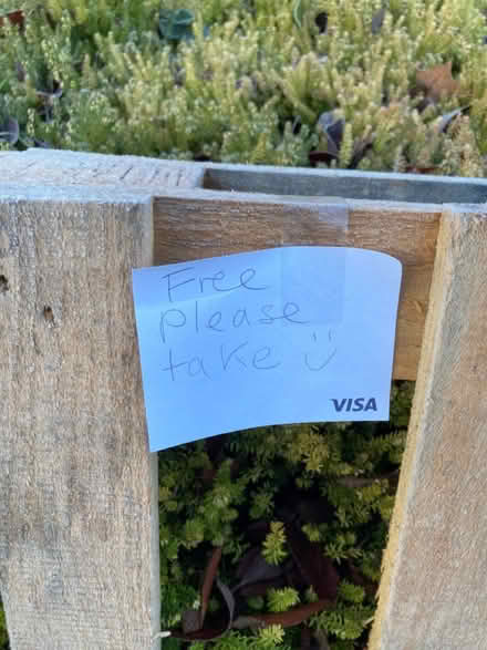 Photo of free Wooden pallet (Stirchley, B30) #2