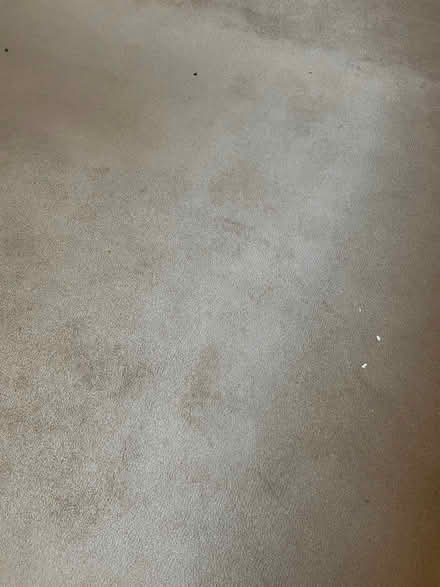 Photo of free Carpets (Lawford CO11) #2