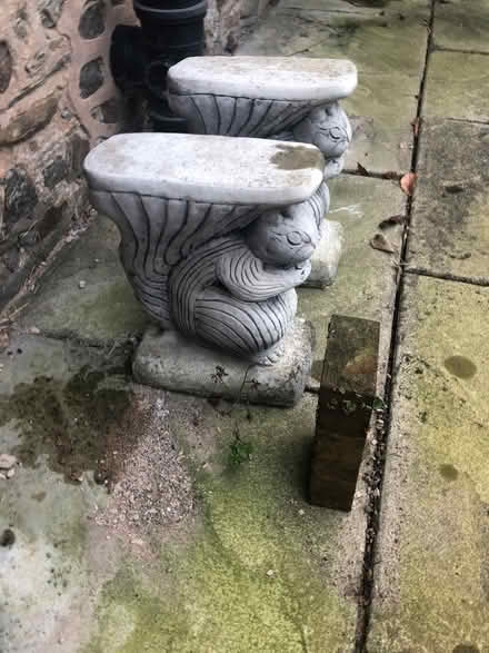 Photo of free garden ornaments 2 squirrels (Anstey LE7) #2