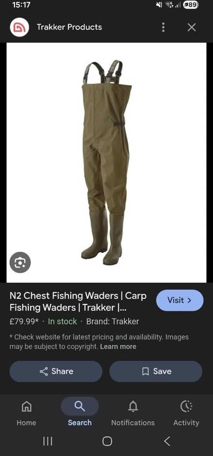 Photo of Wader (Kenilworth) #1