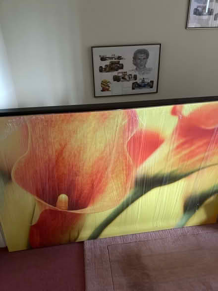 Photo of free Large picture (Warndon Worcester WR4) #2