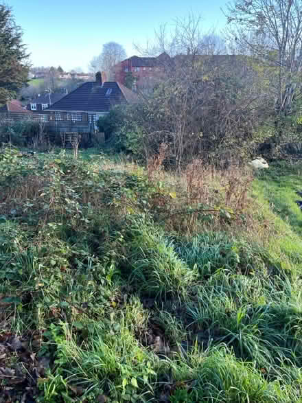 Photo of Gardening tools (Knowle, Bristol) #1