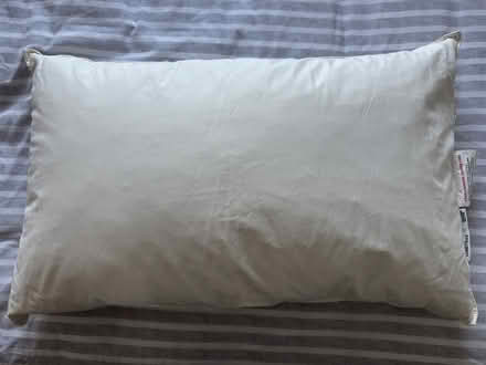 Photo of free Ikea Lundtrav pillow (Chippenham SN14) #1