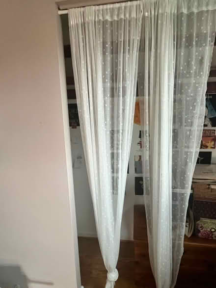 Photo of free Sheer curtains (Royal Oak, MI) #1