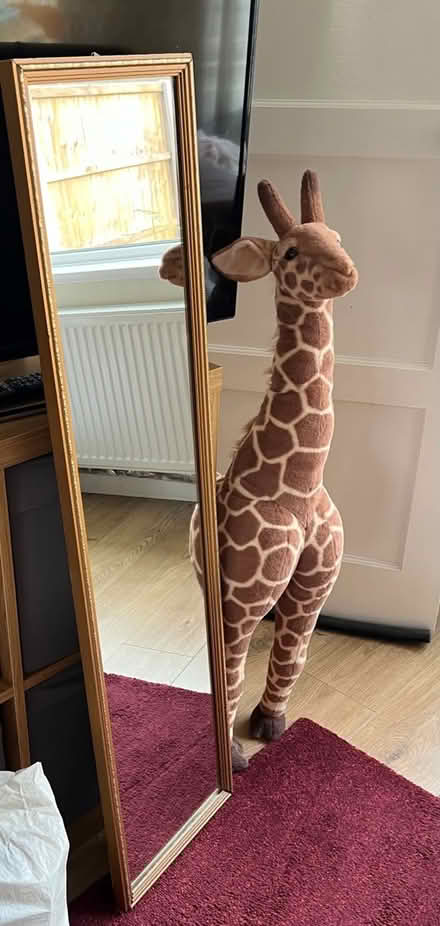 Photo of free Mirror (Leeds LS6) #1