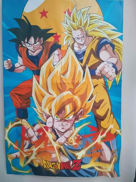 Photo of free Two dragonball-z posters (Deeside CH5) #2