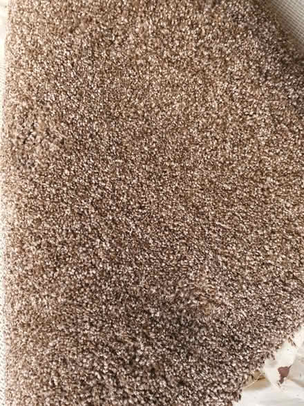 Photo of free Wool mix carpet x 2 (Yate BS37 7) #1