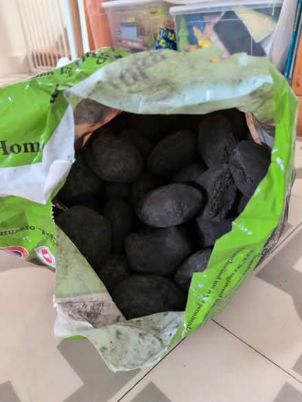 Photo of free Smokeless coal (Honor oak) #2