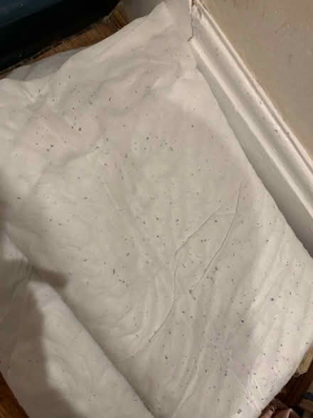 Photo of free Single duvet (Lifford, kings Norton B30) #2