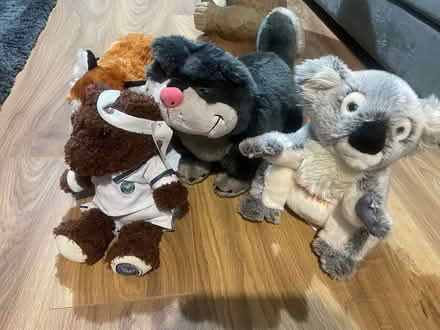 Photo of free Soft toys (Near Gilbert Inglefield LU7) #1
