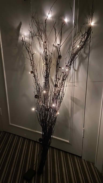 Photo of free Christmas decorations (Fulwood S10) #3