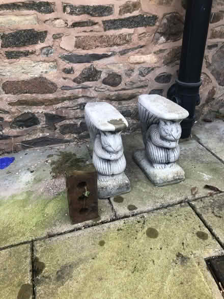 Photo of free garden ornaments 2 squirrels (Anstey LE7) #1
