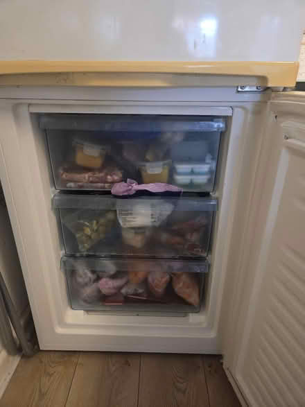 Photo of free Fridge (Near Lodge Avenue RM9) #4