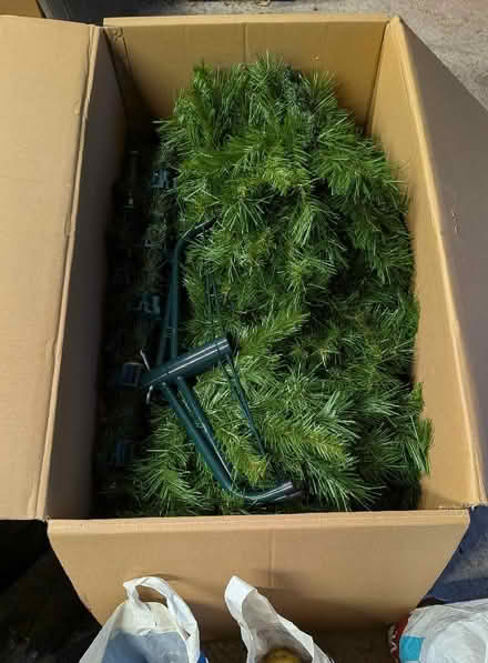 Photo of free Large Christmas Tree (St Anne's on the Sea FY8) #1