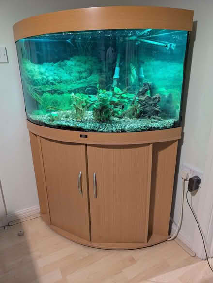 Photo of free Corner fish tank and stand (Deer Park OX28) #1