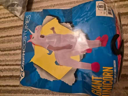 Photo of free Inflatable costume (Walnut Tree MK7) #1